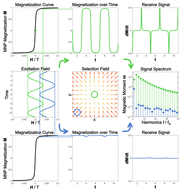 The basic imaging idea relies on the non-linear magnetization behaviour of MNP. Sinusoidal excitation in the dynamic range of the magnetization curve leads to a broad range of harmonics and excitation in the saturation range leads to no harmonics above noiselevel in the signal spectrum.